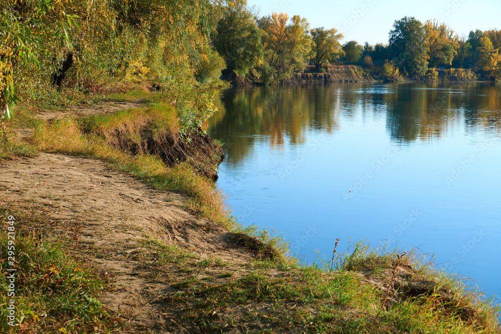 Fototapeta premium autumn landscape of river and bright trees and bushes