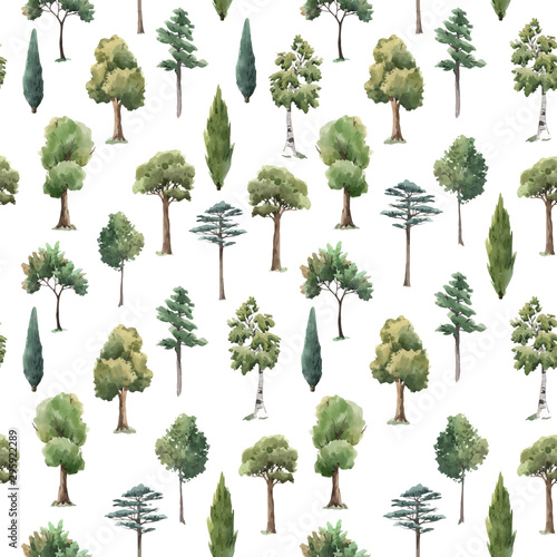 Watercolor vector tree seamless pattern forest oak fir birch, thuja linden baobab pine