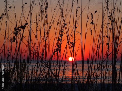 Lido Key Beach Sunset Sarasota, Fl