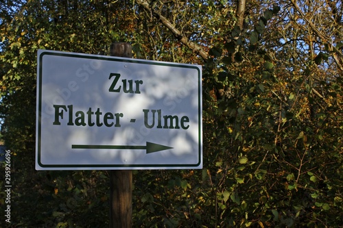 Wegweiser zur Flatterulme in Nordhessen