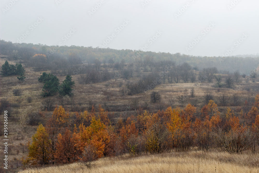 steppe from above, steppe and forest beam in the fog, autumn steppe from above, steppe and forest beam in the fog, autumn