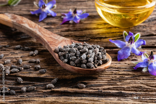 Borage seeds on a spoon, with borage oil and flowers in the background photo