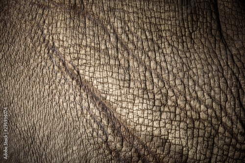 rhino skin, texture of rhino skin for background photo