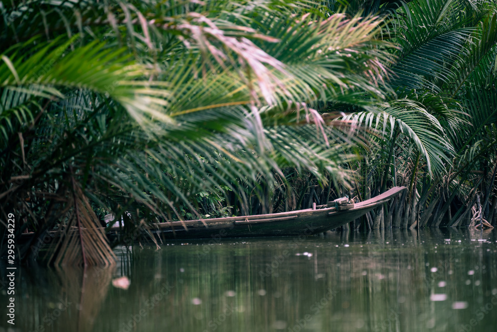 Fototapeta premium Nypa fruticans, Nypa fruticans Wurmb, mangrove forest