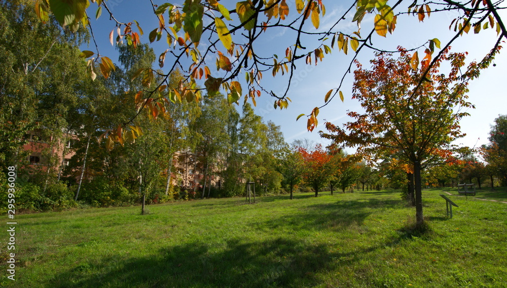 Fototapeta premium Ehemaliger Todesstreifen zwischen Berlin und Teltow 30 Jahre nach dem Mauerfall