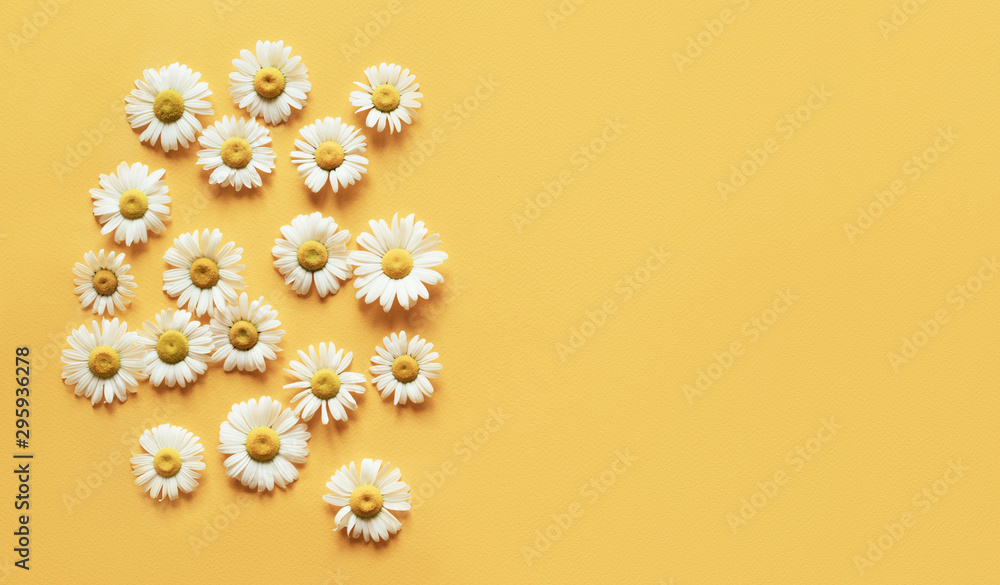Minimalistic yellow background with camomile heads and place for an inscription.
