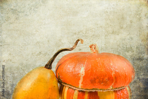 decorative small autumn pumpkins on the original background photo