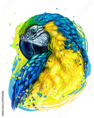 Macaw parrot. Hand-drawn, artistic portrait of a blue-and-yellow macaw parrot on a white background in a watercolor style.