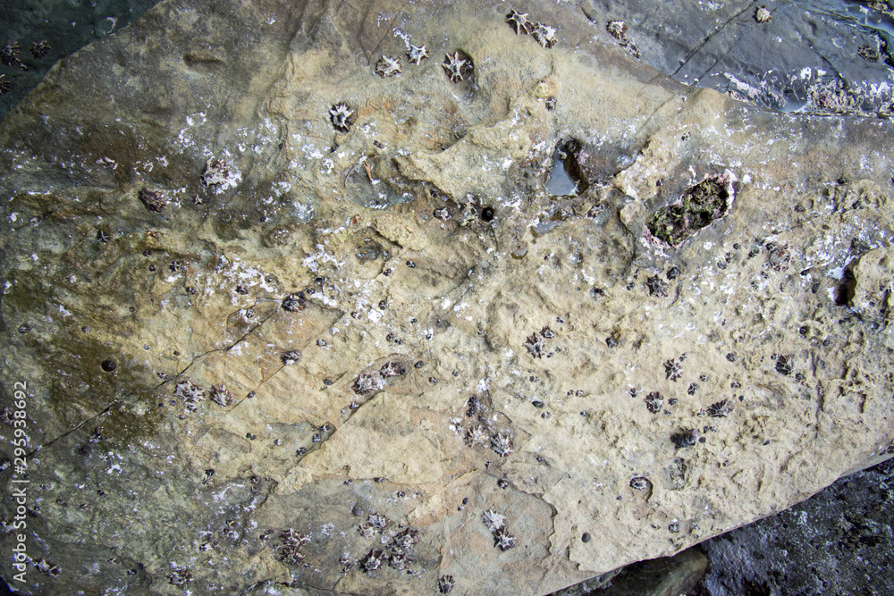 Stones texture and background. Rock texture Stones texture and background. Rock texture