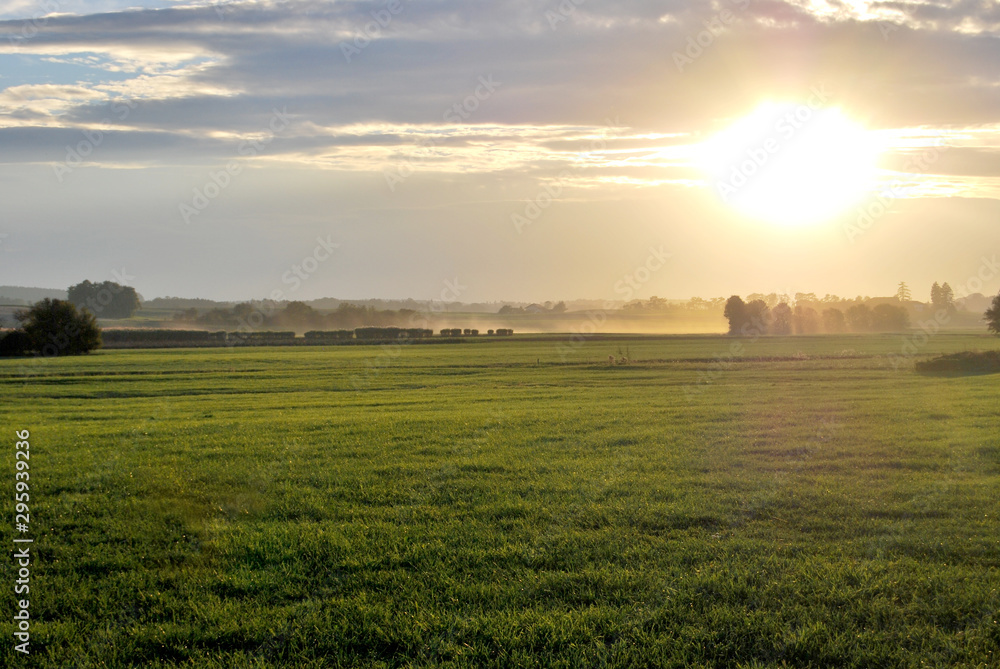 Obraz premium Herbstlandschaft, Sonnenuntergang, Wiese, Wolken, Himmel