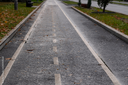 Bike path, dark road and yellow lines. © spritnyuk