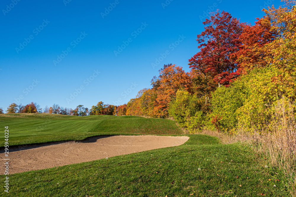 autumn landscape with trees and blue sky on golf course