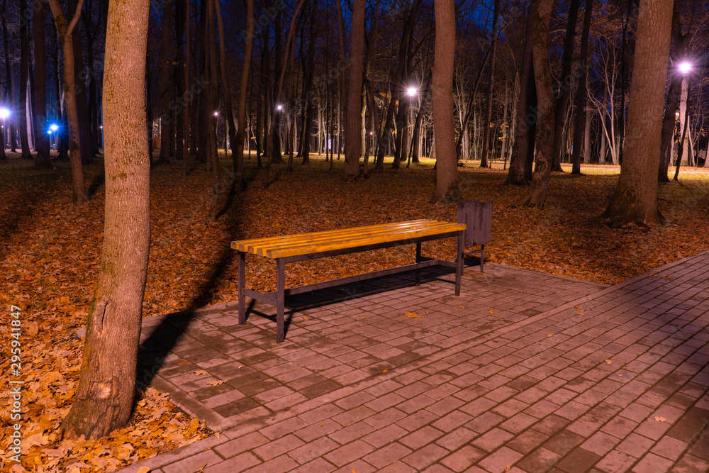 Bench at night in the autumn park