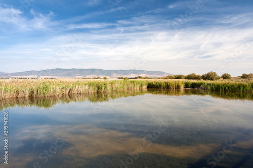 Tablas of Daimiel photo