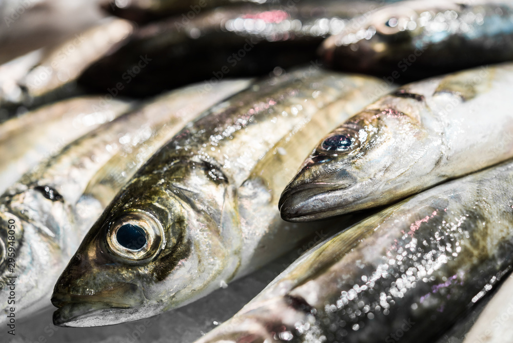 Close up food photo of fresh organic fish at the farmers market stall Close up food photo of fresh organic fish at the farmers market stall