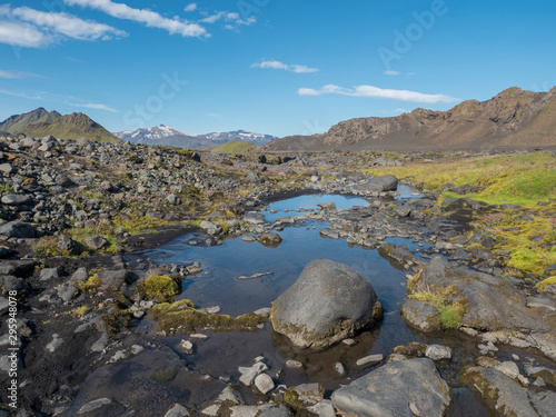 Icelandic volcanic landscape with small blue pond  wild pink flowers green hills and mountains. Fjallabak Nature Reserve  Iceland. Summer blue sky