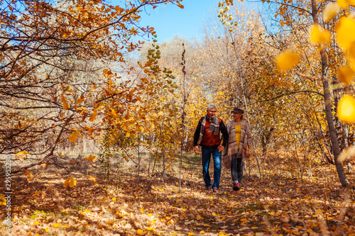 Fall activities. Senior couple walking in autumn park. Middle-aged man and woman hugging and chilling outdoors