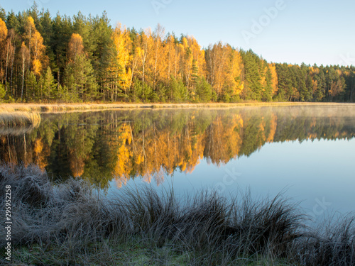 beautiful and bright trees on the lake clay, autumn landscape