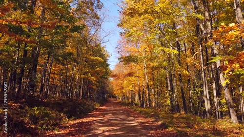 Sightseeing road trip, driving down sunny country road in Autumn, amazing Fall colors, cool breeze, leaves falling.