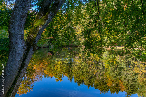Bunte Herbstbäume spiegelt sich in einem See