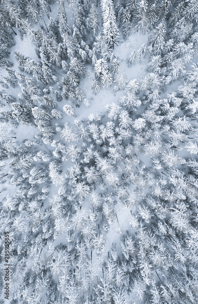 abstract winter background aerial view, forest in deep snow, cold air drone perspective abstract winter background aerial view, forest in deep snow, cold air drone perspective