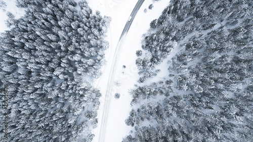 road from aerial perspective in winter wonderland, forest in snow, christmas © Salvisberg