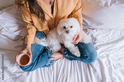 beautiful woman playing with her cute maltese dog at home. Drinking tea or coffee on bed. Relax and Lifestyle photo