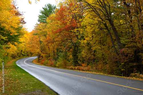 Beautiful Curved Country Road in Fall Season