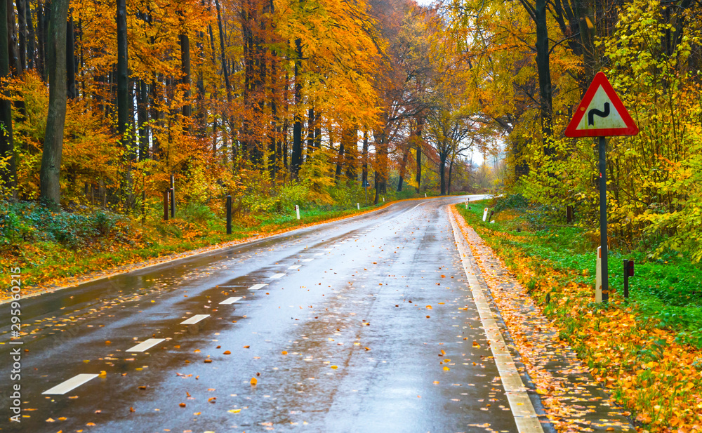 Naklejka premium Road in autumn