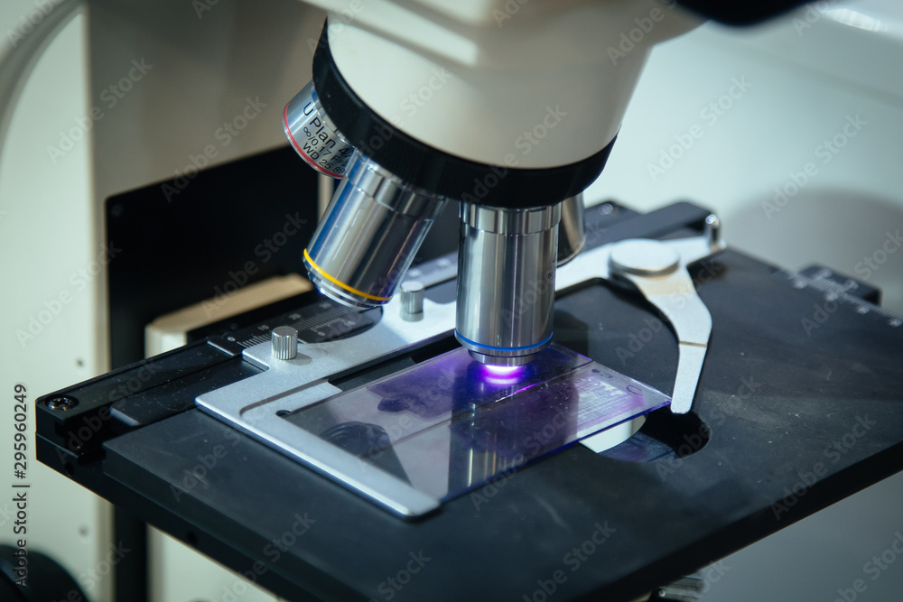 Fotografie Scientific or medical test sample under light microscope in laboratory, close up