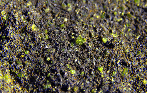Crystal Olivine