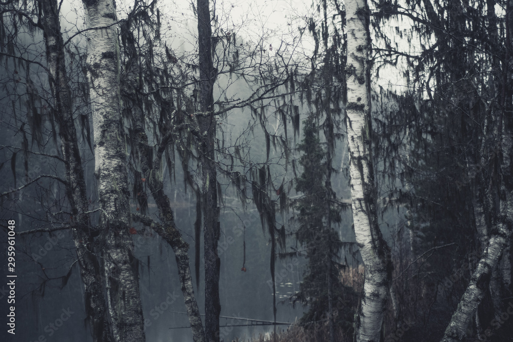 Fototapeta premium Moody Landscape on a rainy October Day