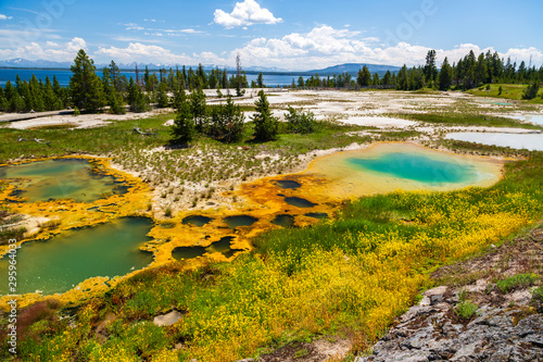 West Thumb Geyser Basin, Yellowstone National Park, Wyoming