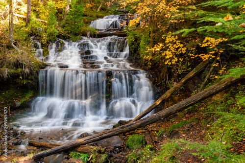waterfall in the forest surrounded by fall foliage