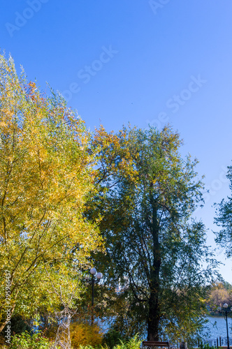 Autumn urban landscape on a Sunny day - yellow autumn trees in the Park  colorful red and orange leaves  and bright sky with clouds