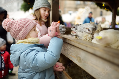 Two cute young sisters having fun feeding sheep in a small petting zoo on traditional Christmas market in Riga, Latvia. Happy winter activities for kids.