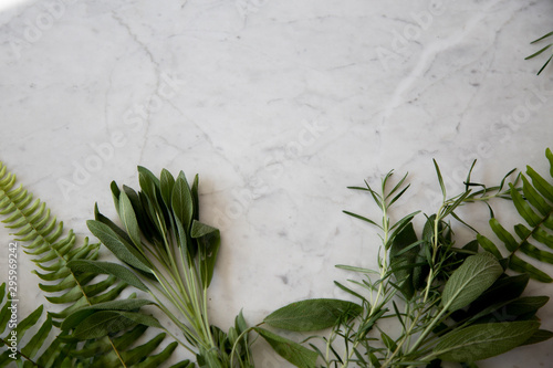 Greenery herbs on marble background 