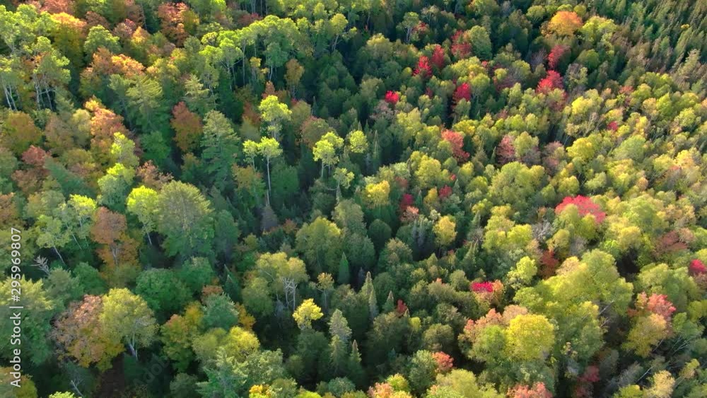 Amazing Autumn Scenery, biodiversity illustrated in Fall Colors, Forests of Michigan's Upper Peninsula, Treetop Aerial View. Amazing Autumn Scenery, biodiversity illustrated in Fall Colors, Forests of Michigan's Upper Peninsula, Treetop Aerial View.