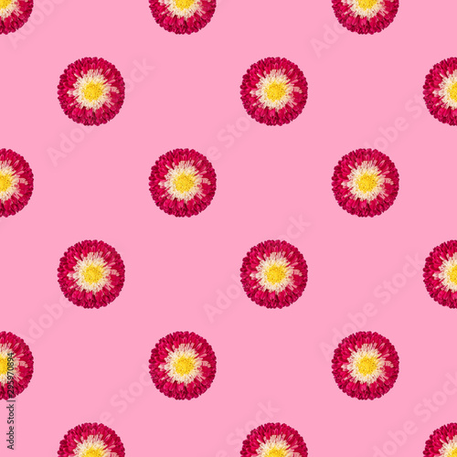 Seamless pattern with red Aster flowers on pink background. Floral pattern. Tropical abstract background