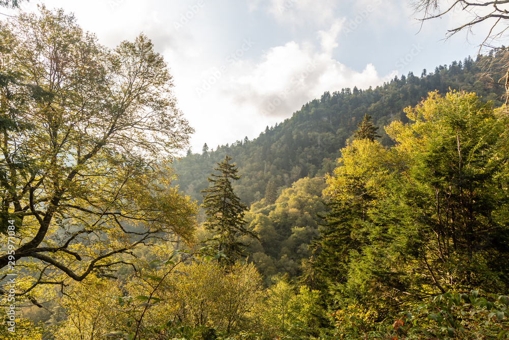 Great Smoky Mountains National Park Great Smoky Mountains National Park