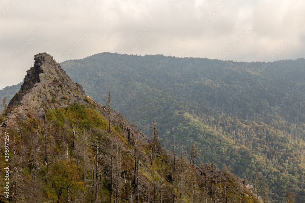 Fototapeta premium The Chimney top. Great Smoky Mountains