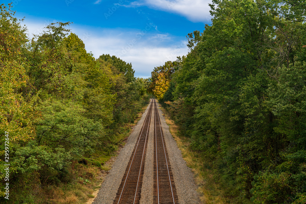 Train Tracks in the forest