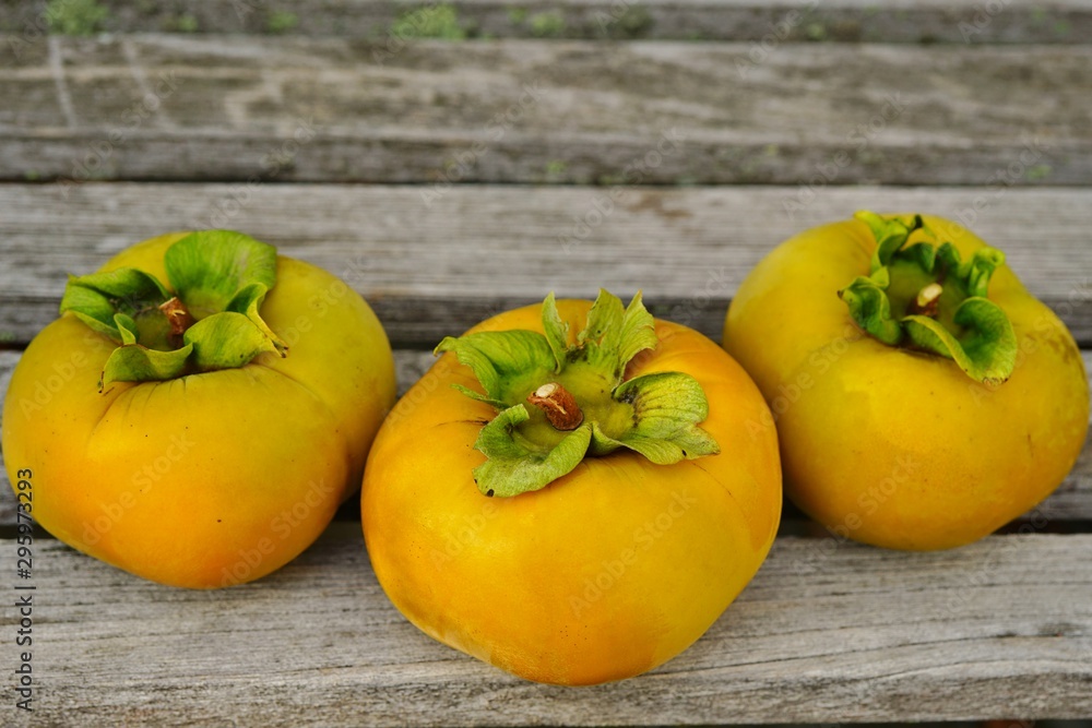 Three freshly picked orange persimmon kaki fruits Three freshly picked orange persimmon kaki fruits