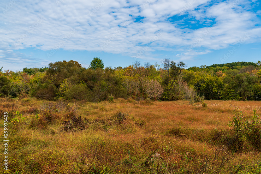 landscape with trees and blue sky landscape with trees and blue sky