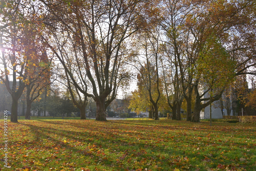 travel in Germany