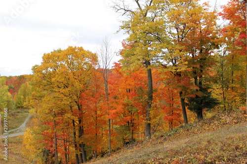 Fototapeta Naklejka Na Ścianę i Meble -  Beautiful and colorful Autumn landscape all over the mountain
