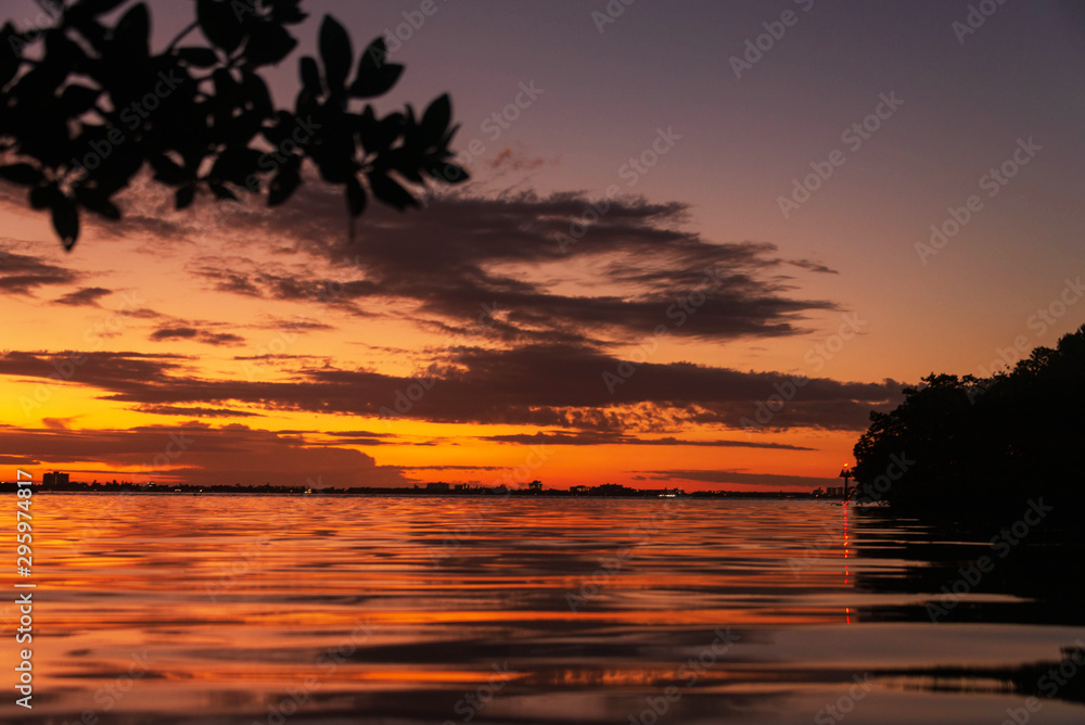 Sunset mangroves on the beach Florida seascape