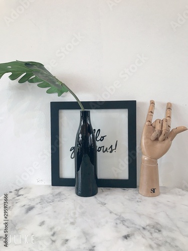 Plant for decoration