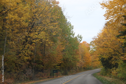 Beautiful and colorful Autumn landscape all over the mountain