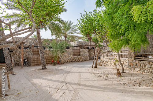 Omani Oasis at Zighy Bay in Musandam, Oman. photo